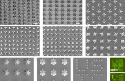 Surface Micro/Nano Structures