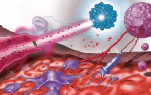 Laser–Tissue Interaction