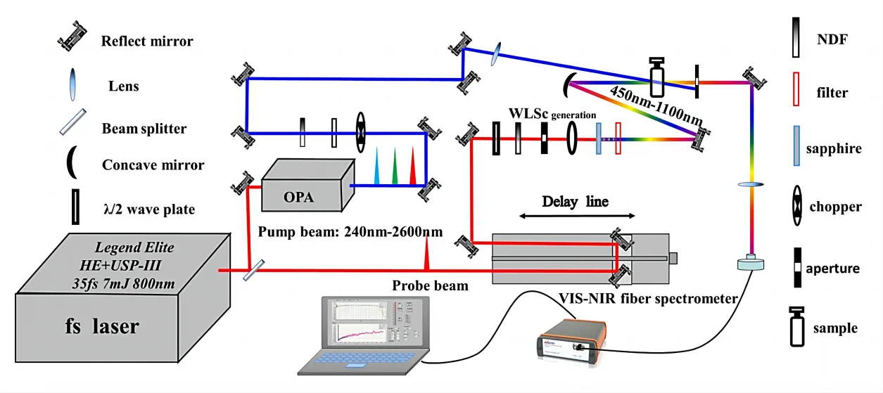Transient Absorption Spectroscopy
