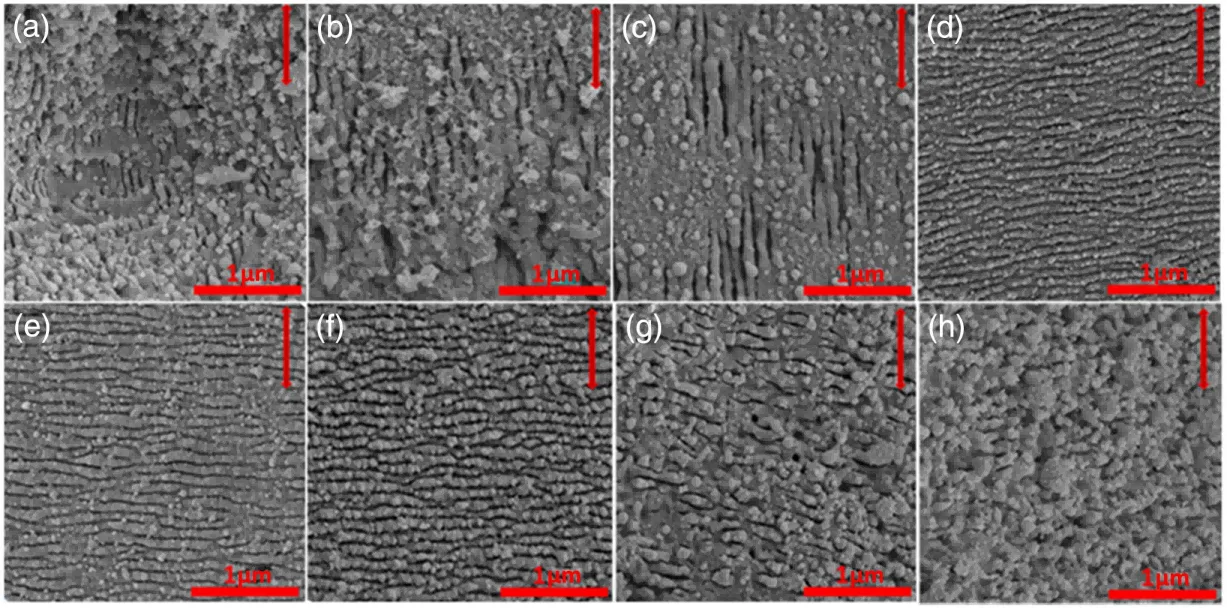 Laser-Induced Periodic Surface Structures (LIPSS)