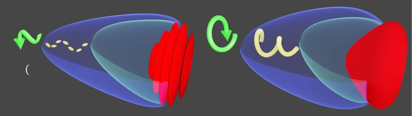 Carrier-Envelope Phase Stabilization