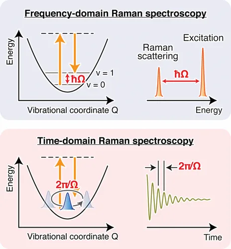 Femtosecond Stimulated Raman Spectroscopy