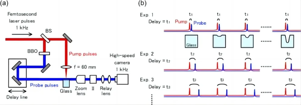 Laser Pump and Seed Sources