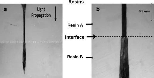 Selective Ablation