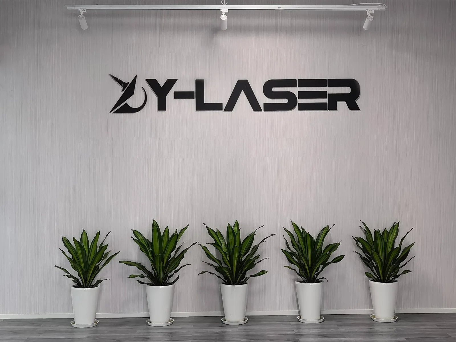 Leading Ultrafast Laser Manufacturer - Y-LASER